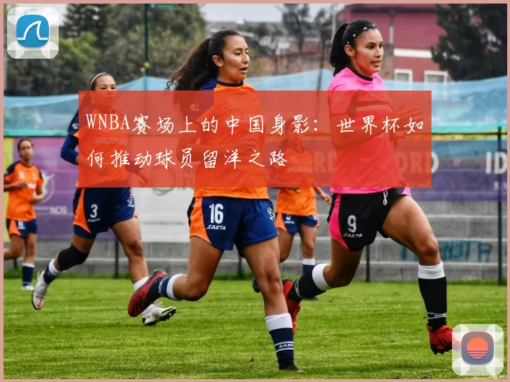 WNBA赛场上的中国身影：世界杯如何推动球员留洋之路