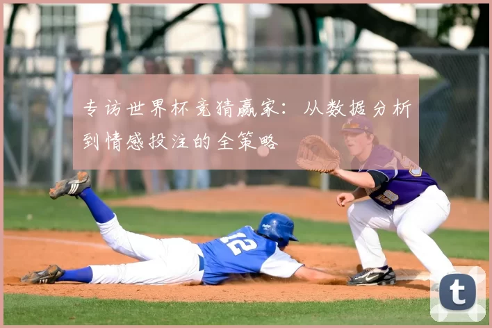 专访世界杯竞猜赢家：从数据分析到情感投注的全策略