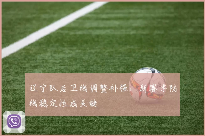 辽宁队后卫线调整补强，新赛季防线稳定性成关键