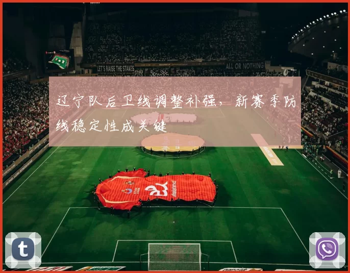 辽宁队后卫线调整补强，新赛季防线稳定性成关键