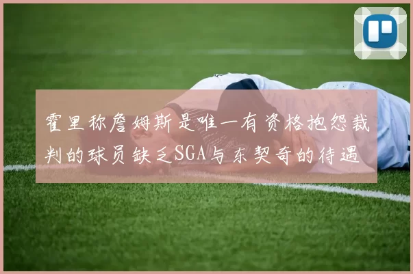霍里称詹姆斯是唯一有资格抱怨裁判的球员缺乏SGA与东契奇的待遇