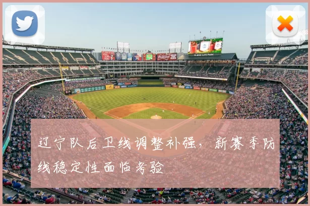 辽宁队后卫线调整补强，新赛季防线稳定性面临考验