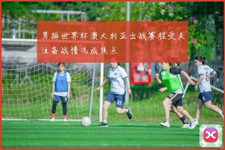 男排世界杯澳大利亚出战赛程受关注备战情况成焦点
