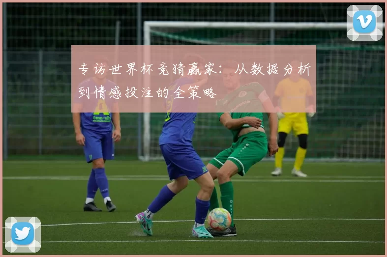 专访世界杯竞猜赢家：从数据分析到情感投注的全策略